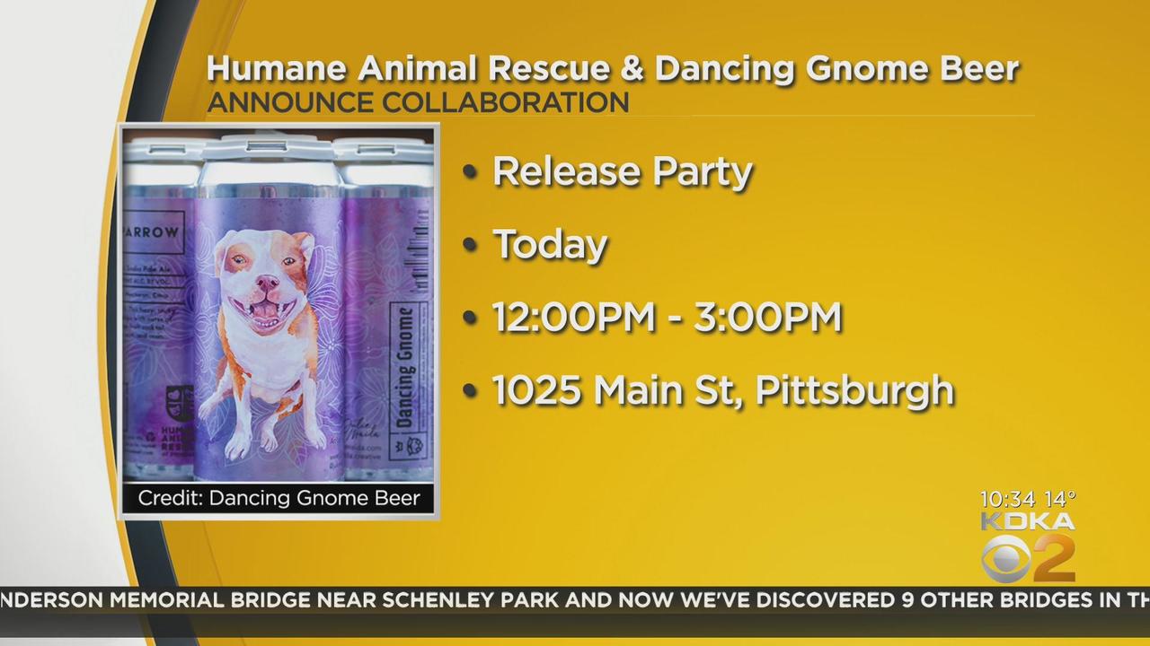 Dancing Gnome Brewery teams up with Humane Animal Rescue - CBS Pittsburgh