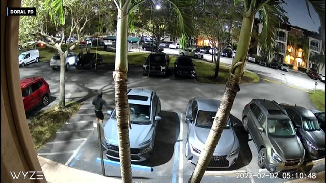 doral-car-theft-surveillance.jpg 