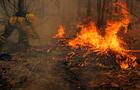 Wildfire burns parts of rural areas in Santa Juana 