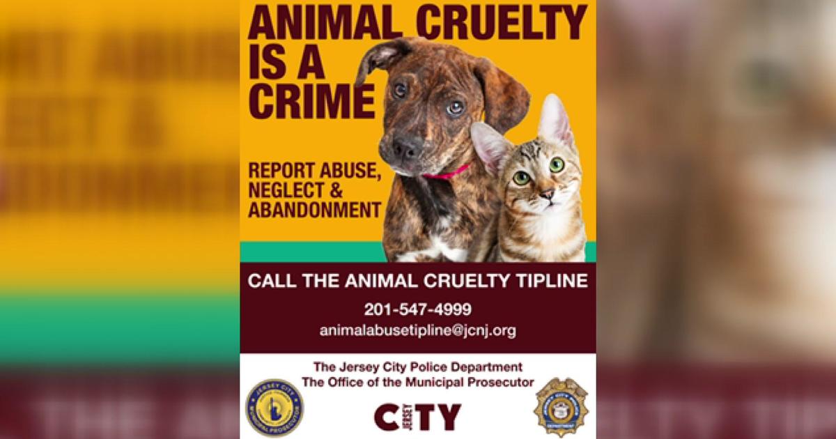Jersey City launches tip line for reporting animal cruelty - CBS New York