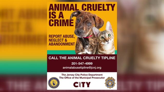 A poster reading "Animal cruelty is a crime. Report abuse, neglect & abandonment. Call the animal cruelty tipline 201-547-4999 or animalabusetipline@jcnj.org." 