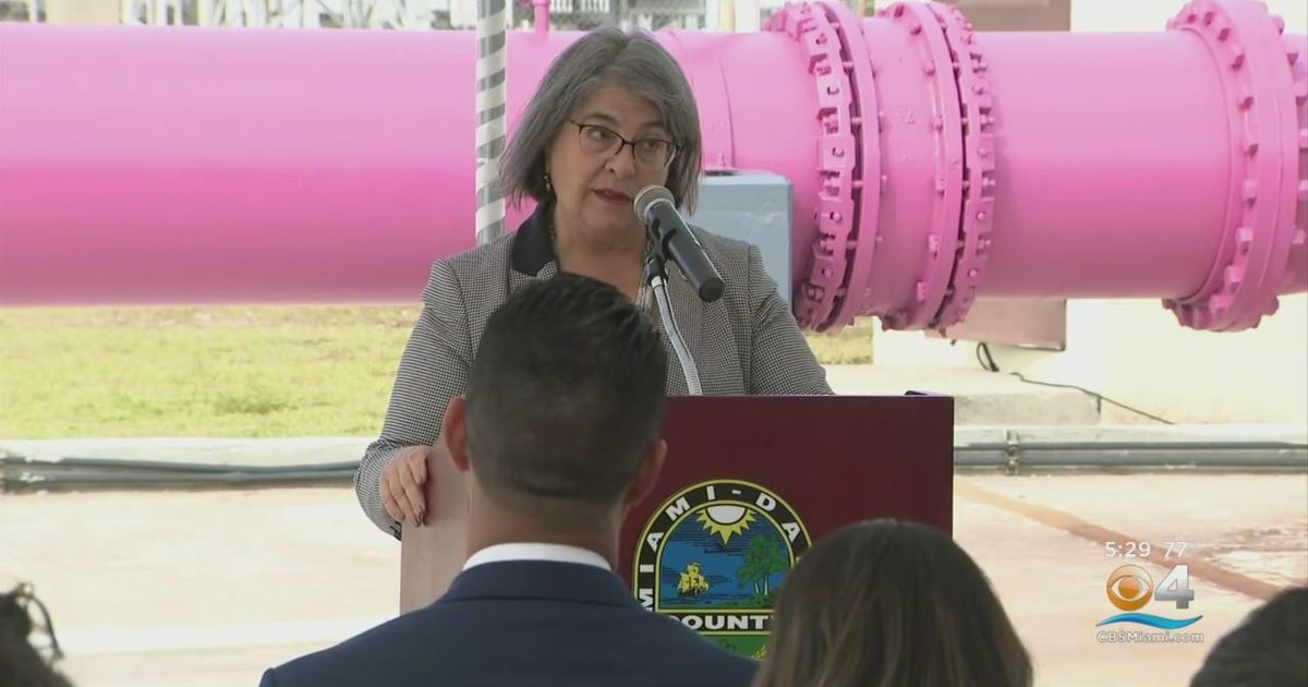 Daniella Levine Cava joined by officials for floor breaking of the south district wastewater treatm