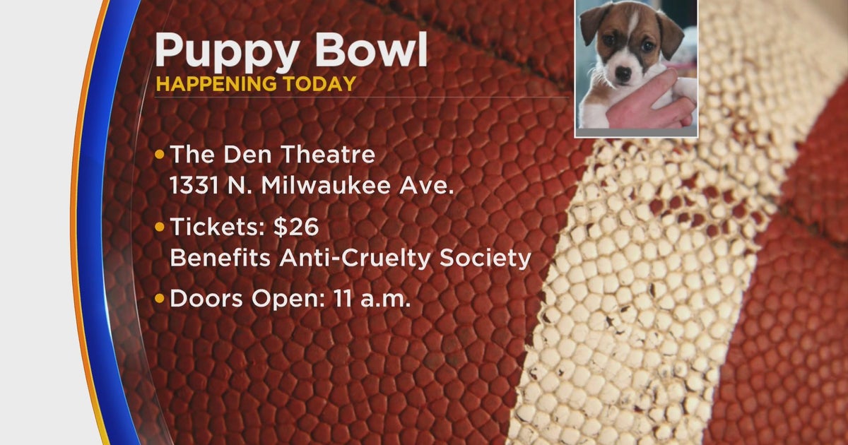 Den Theatre in Wicker Park hosting Puppy Bowl CBS Chicago