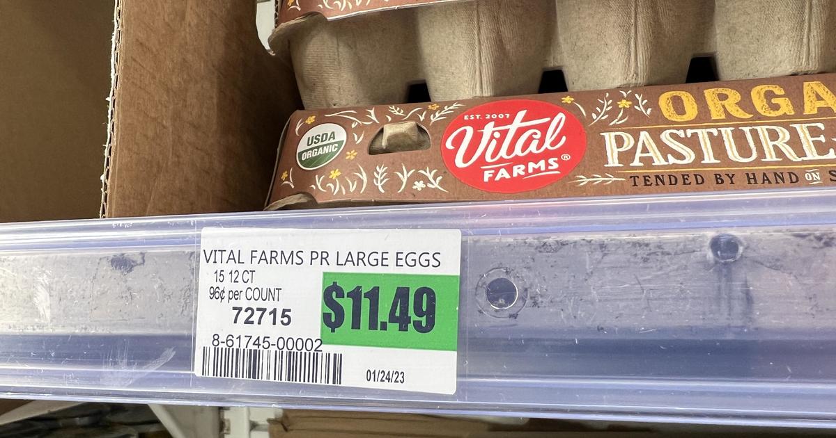 Vital Farms Eggs, Pasture-Raised, Large, 15 Dozen