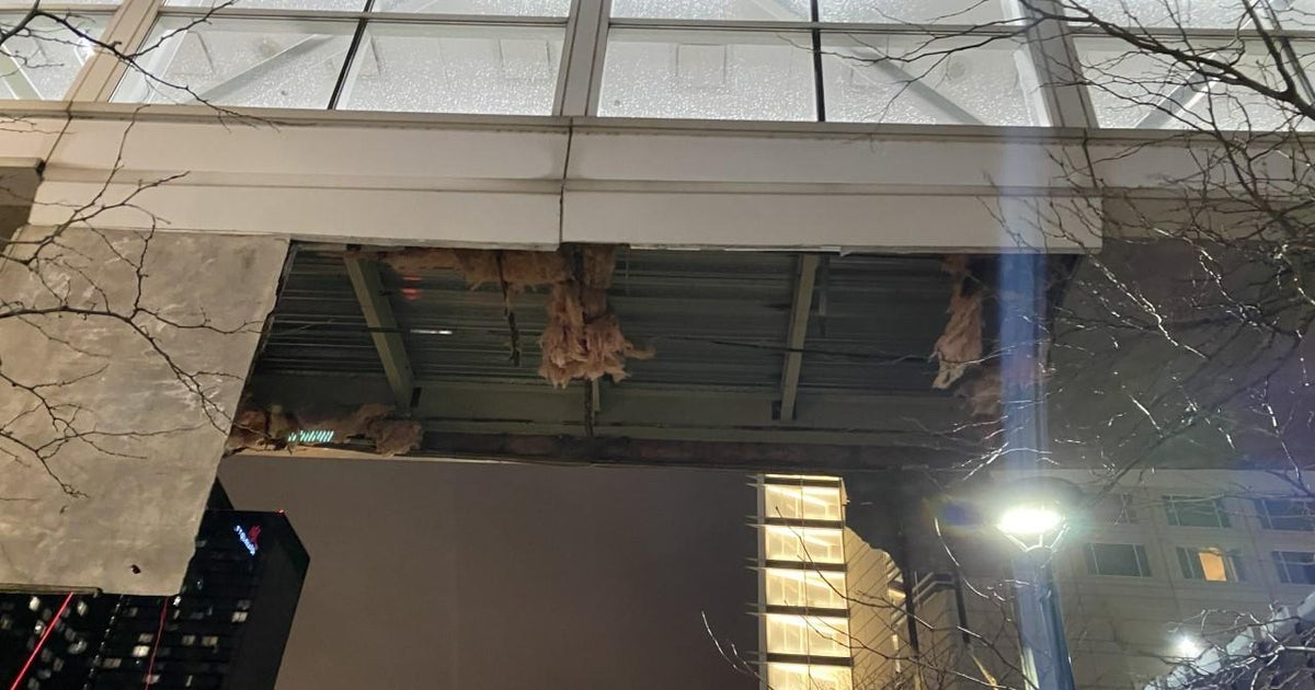 Limo damaged after debris falls from McCormick Place walkway - CBS Chicago