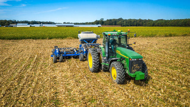 Cover crop planting after corn on Eastern Shore of Maryland 