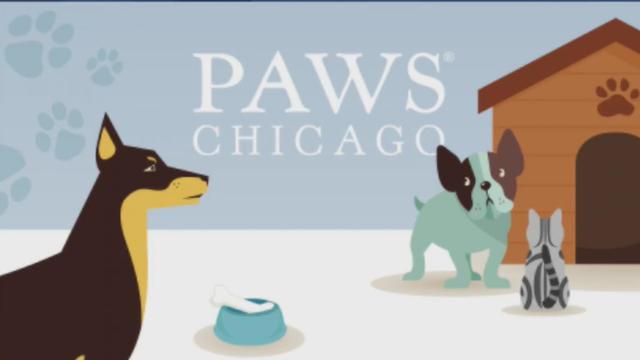 paws-chicago.jpg 