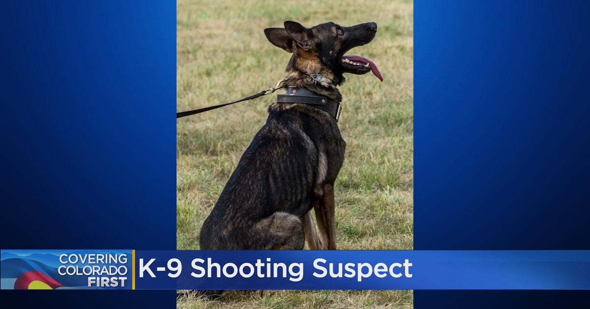 Deputies Jeffco K9 shooting suspect gave false name, denied shooting