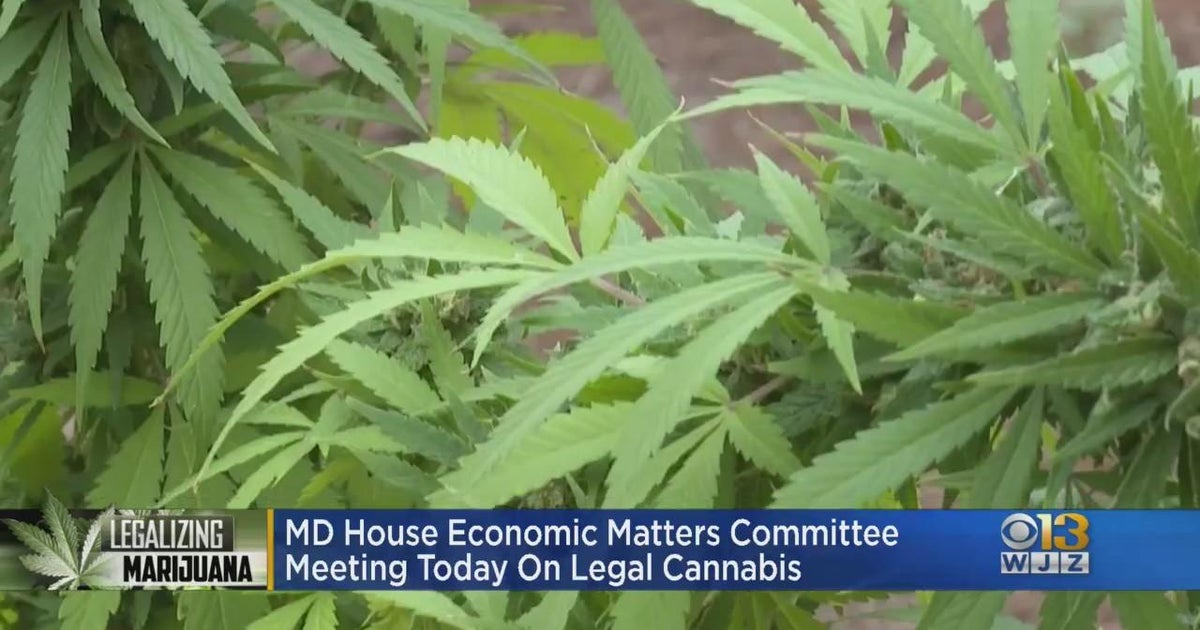 MD House economic matters committee meeting today on legal cannabis CBS Baltimore