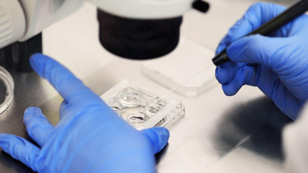 Rep. Mike Lawler pitches bill giving tax credits for IVF treatment