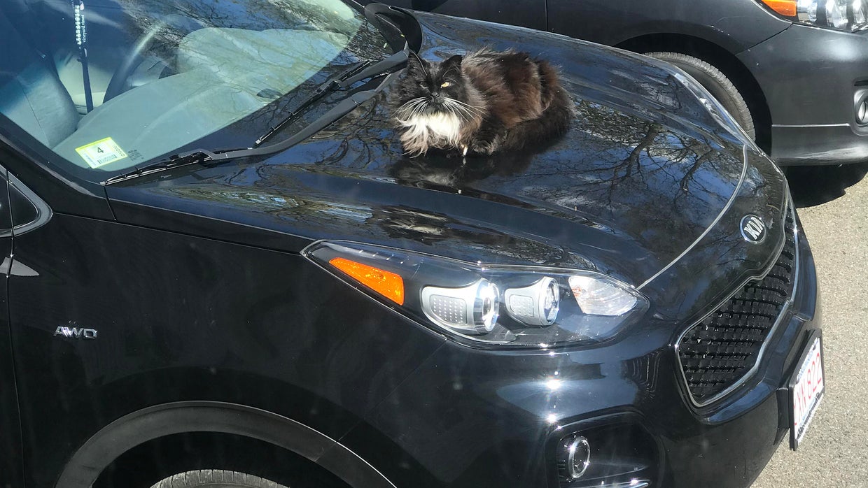 Thieves using USB cables to steal Kia, Hyundai vehicles CBS Boston