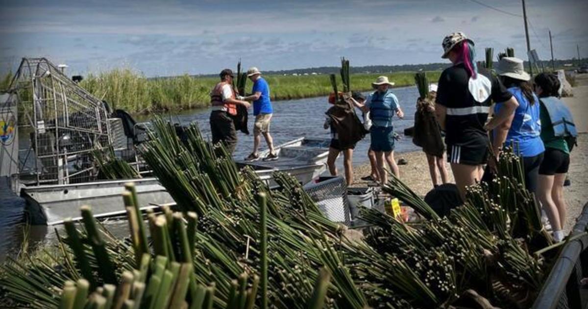 Louisiana students turn trash into treasure with coastal restoration project
