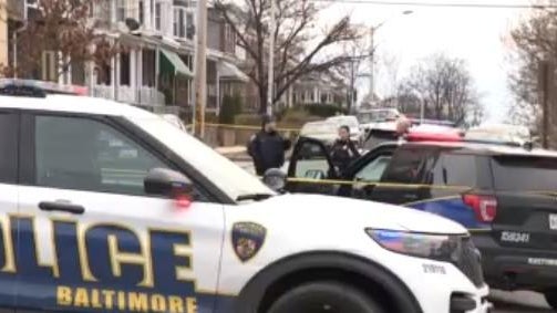 Emergency lights on a police car 