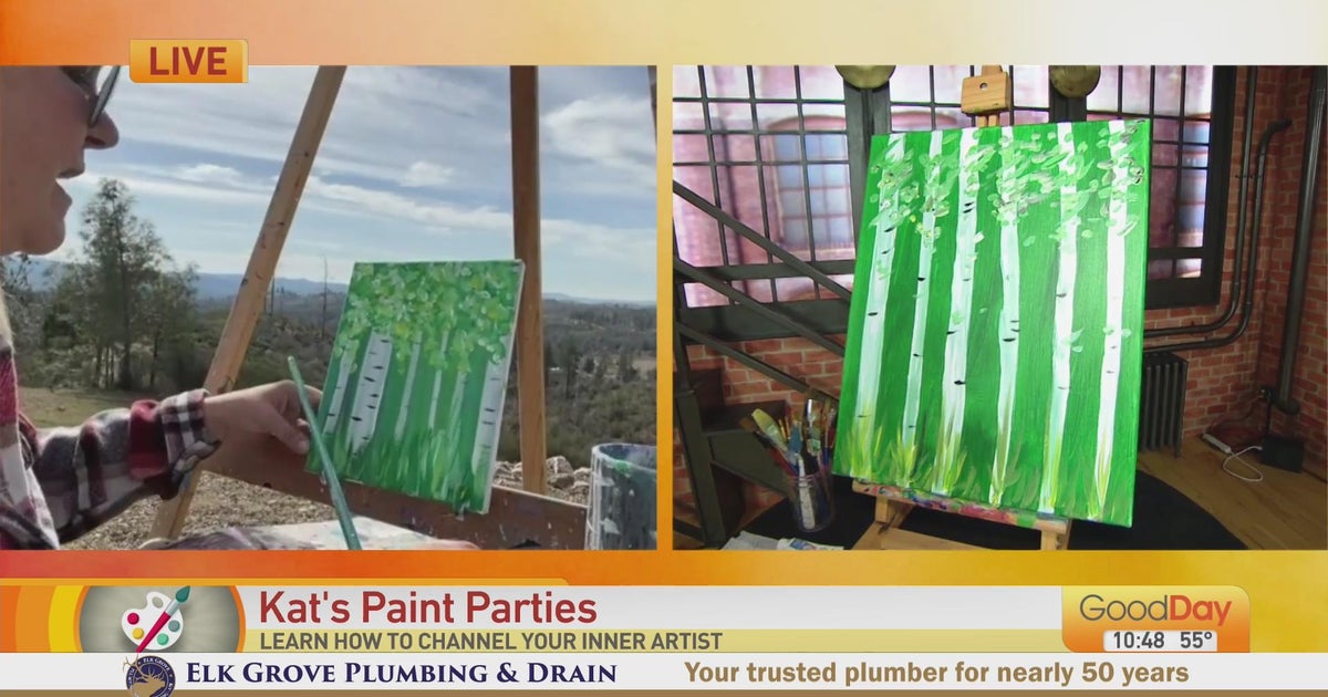 Kat's Paint Parties Cody paints along! Good Day Sacramento