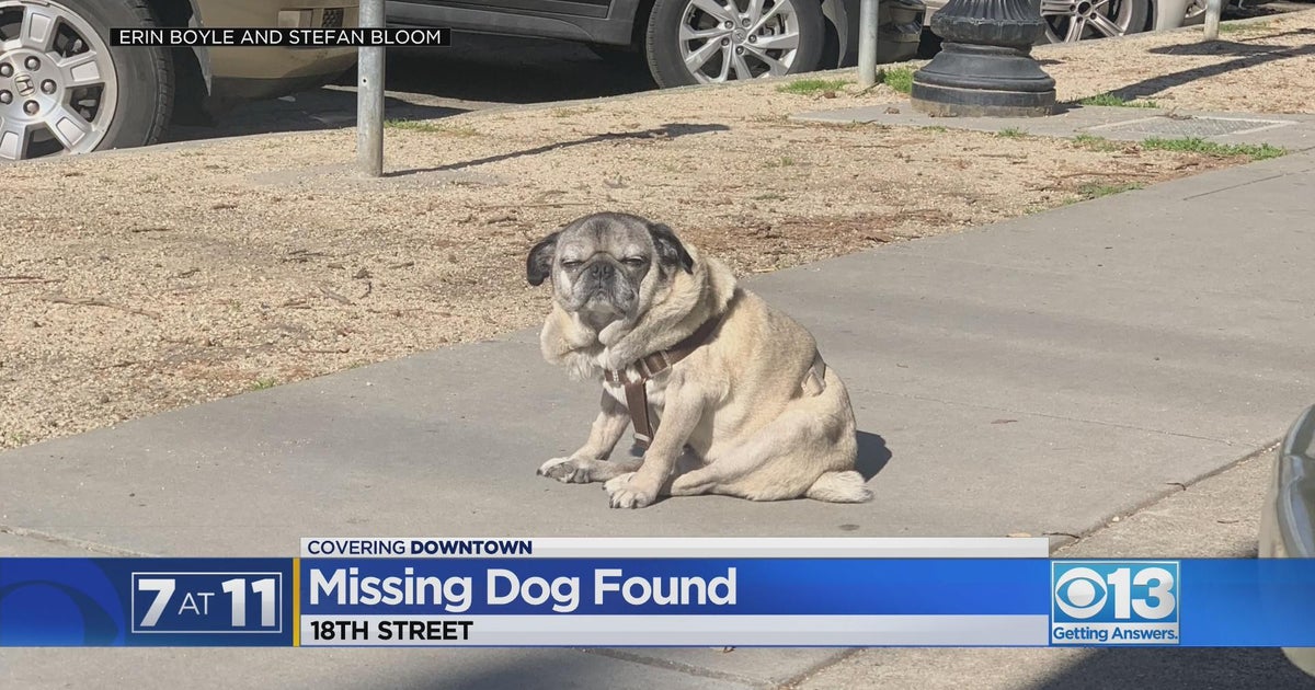 Missing midtown Sacramento returned to owners