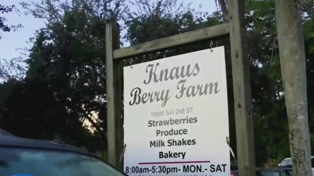 knaus-berry-farm.jpg 