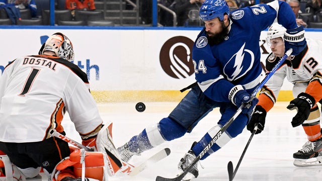 Ducks Lightning Hockey 