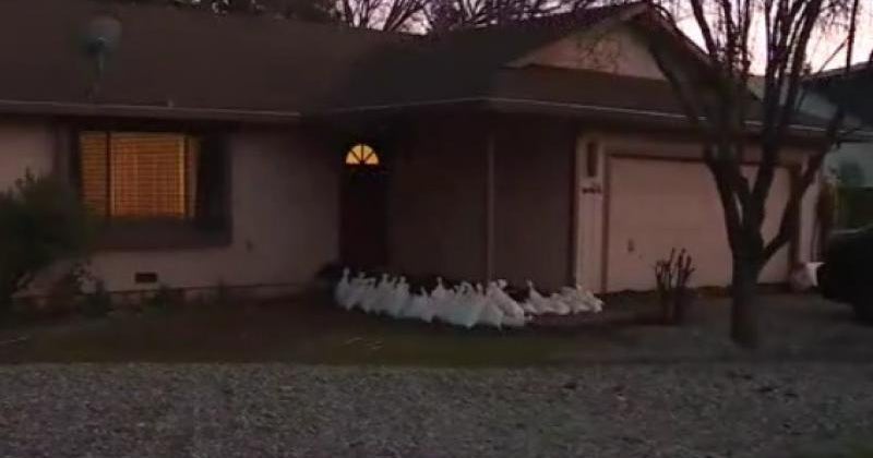 Northern California residents brace for approaching storm