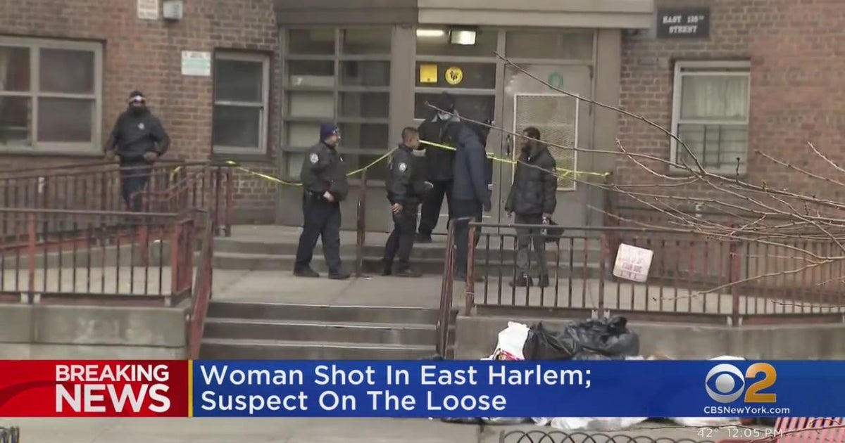 Woman shot by neighbor inside Harlem apartment building - CBS New York