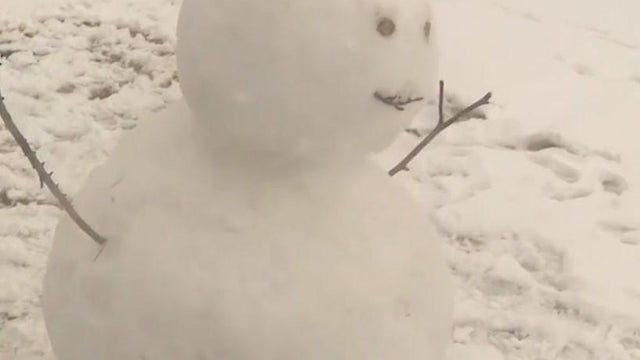 snowman.jpg 