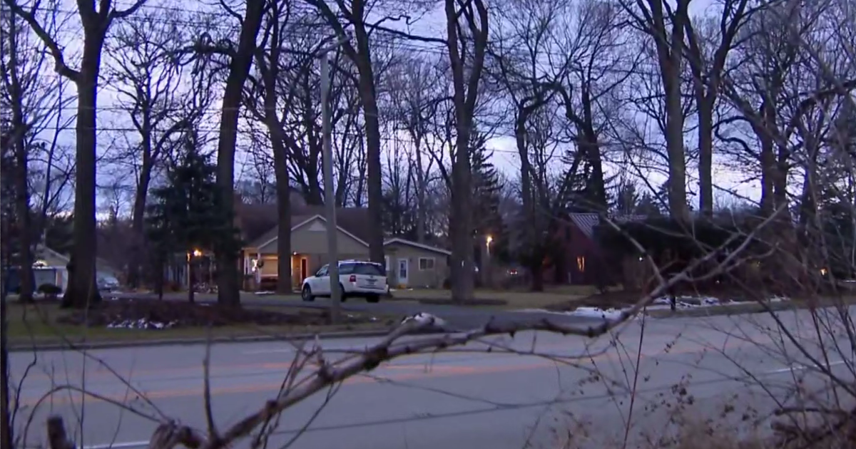 Pregnant woman beaten, carjacked, run over in Libertyville - CBS Chicago