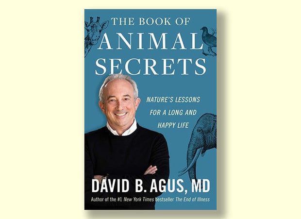 the-book-of-animal-secrets-simon-schuster-cover-660.jpg 