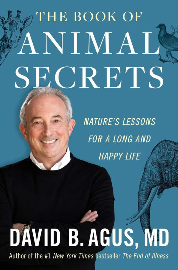the-book-of-animal-secrets-simon-schuster-cover.jpg 
