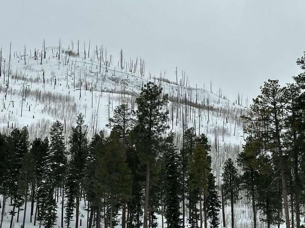 fatal-avalanche-3-caic-image-from-near-vallecito-reservoir.jpg 