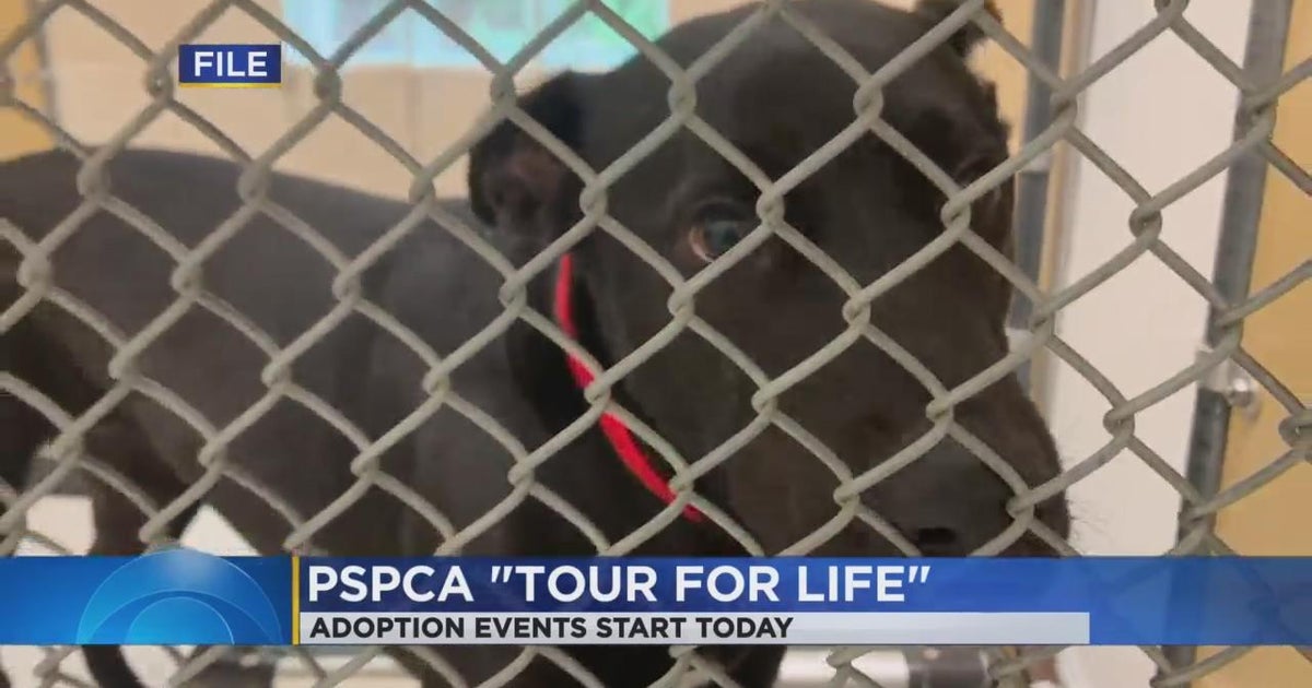 Pennsylvania SPCA's Tour for Life starts Monday CBS Philadelphia