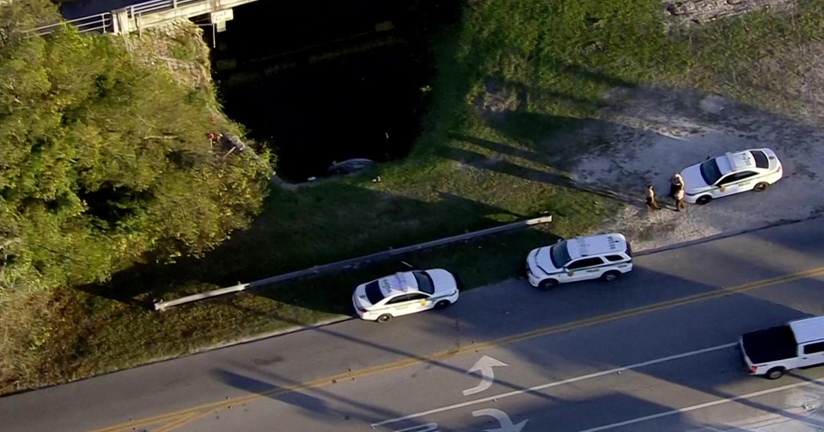 Little one pulled from car following automobile finishes up in SW Miami-Dade canal