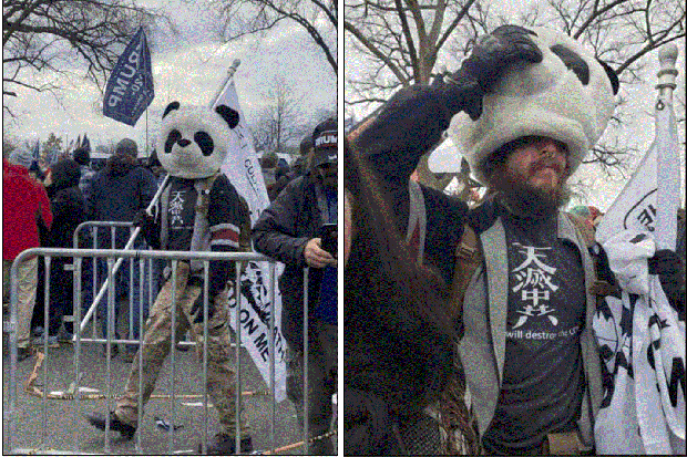 jesse-james-rumson-sedition-panda-arrested.gif 