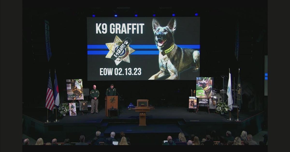 Fallen Jefferson County K9 Officer Graffit Remembered After He Was Shot ...