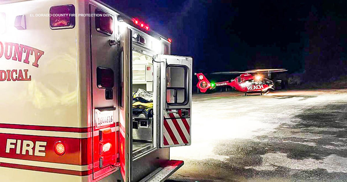 Cat credited with alerting rescuers about man who fell down waterfall