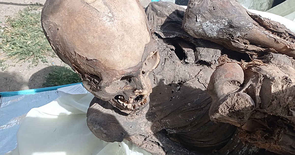 Gentleman discovered carrying mummy in a foodstuff supply bag in Peru claims its his ‘spiritual girlfriend’