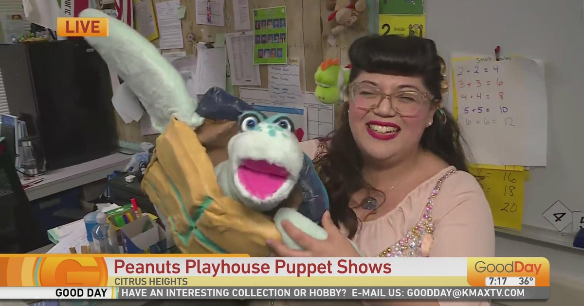 Peanuts Playhouse Puppet Show Good Day Sacramento