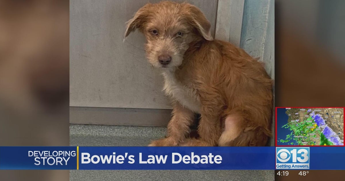 Proposed legislation aims to prevent healthy animals in shelters from being euthanized without notic
