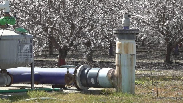 orchard and pipe