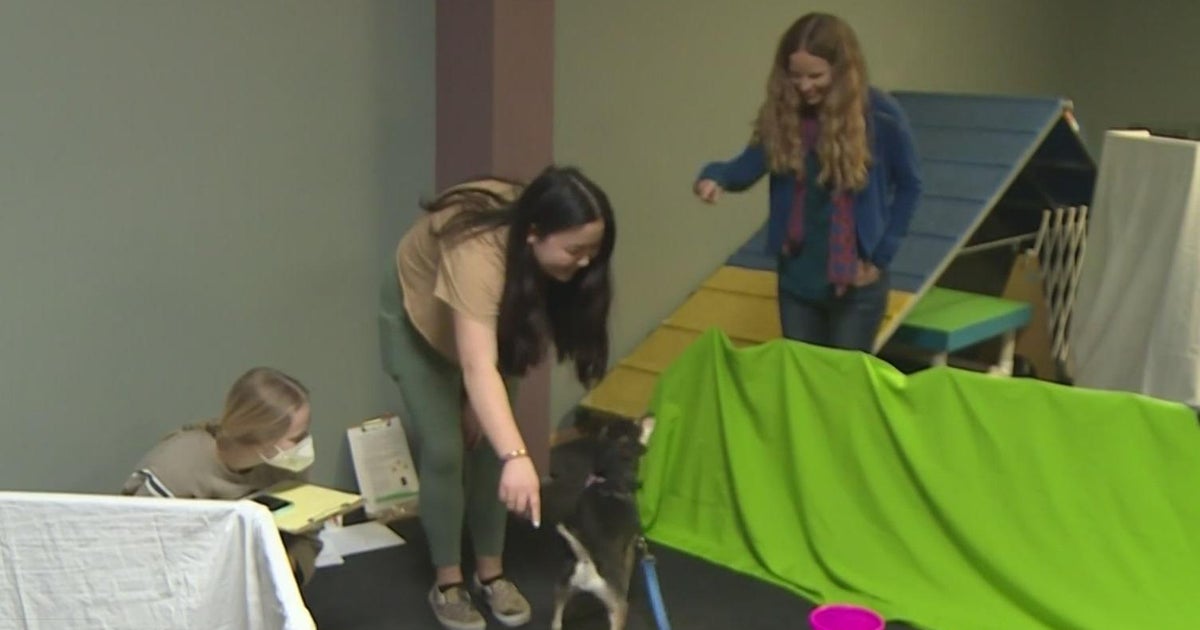 University of Wisconsin is now offering a class called Animal Behavior