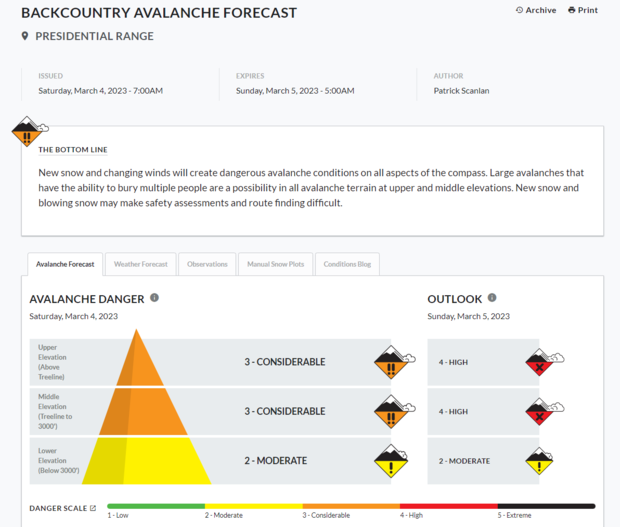 avalanche-forecast.png 