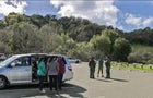 Falling Tree Kills Hiker in Cupertino 