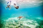 Wide shot underwater view of couple snorkeling near sea turtle swimming in tropical sea 