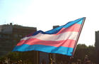 Transgender flag 