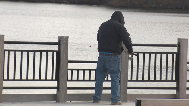 Trout, fish, houghton's pond 