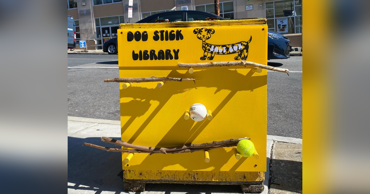 Baltimore artist adds dog stick library to Hampden salt box CBS Baltimore