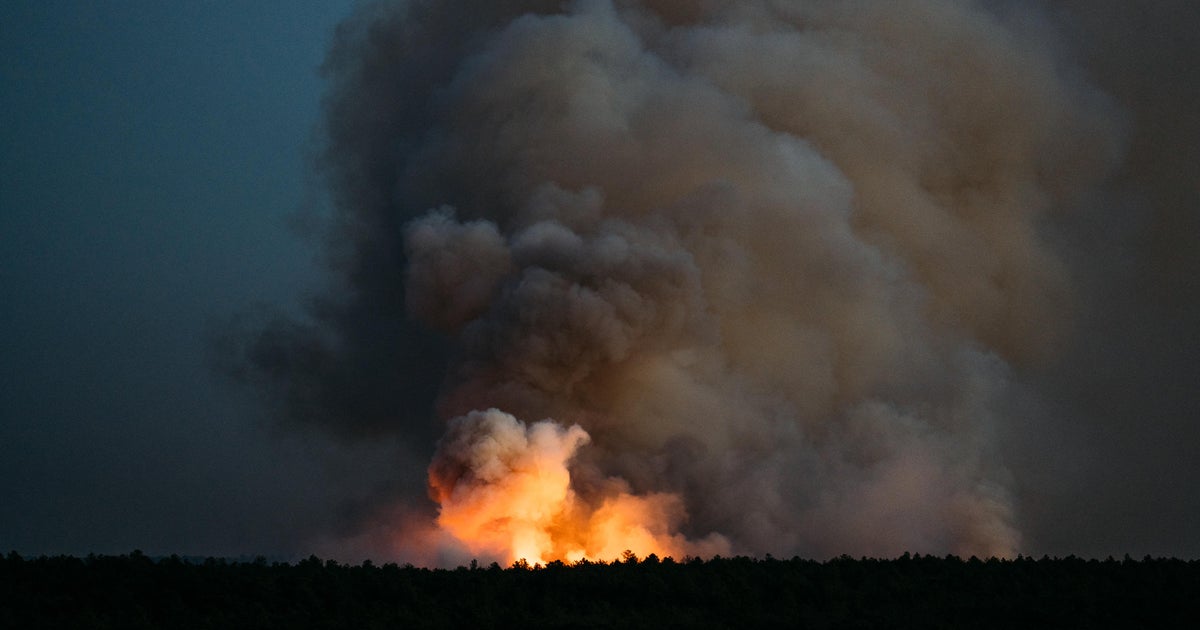 Forest wildfire in Little Egg Harbor Township fully contained - CBS ...