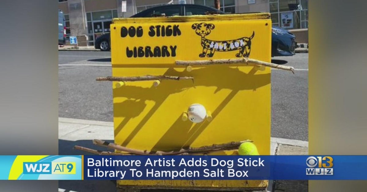 Baltimore artist adds dog stick library to Hampden salt box CBS Baltimore