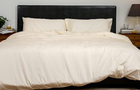big-bedding-header.png 