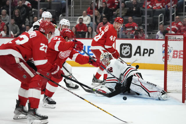 GOOD NEWS! -- Tonight's Tigers Night - Detroit Red Wings