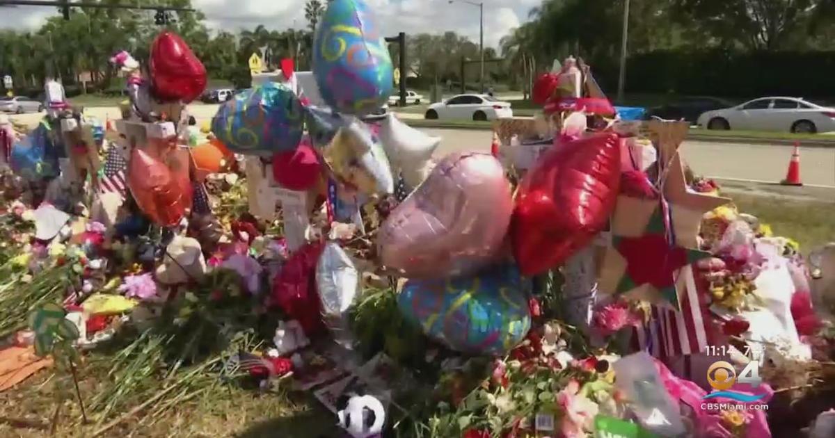 Floridas Post Parkland Law Raising Minimum Age To Purchase A Gun To 21 Is Upheld Cbs Miami 