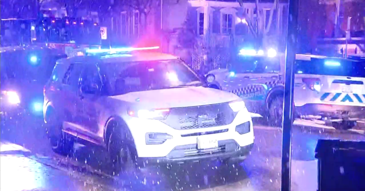 Man gets hold of officer's gun, fires shot in Lincoln Park - CBS Chicago
